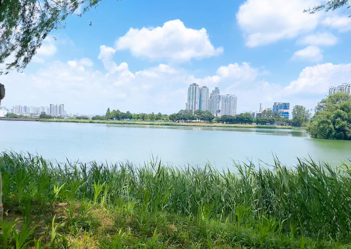 池の風景